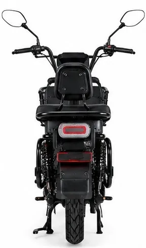 Rear View